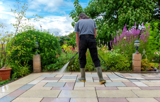 Best Roof Cleaning and Mildew Removal in Maple Park, IL